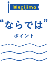 Megajima ならではのポイント